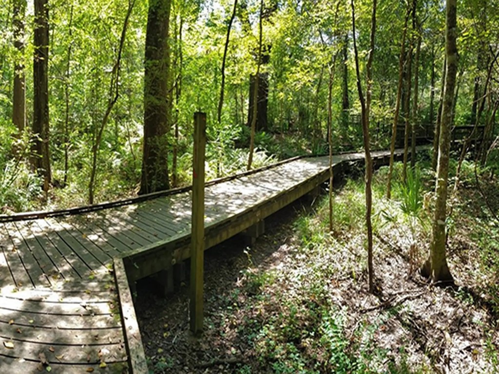 Lafayette area greenery