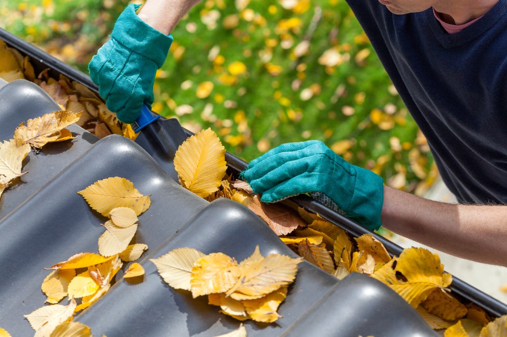 Exterior cleaning at a home