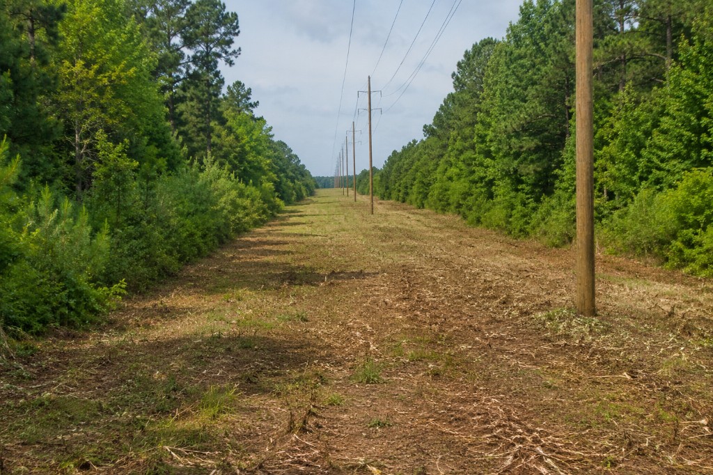 Utility corridor cleared through woods with electrical poles and power lines
