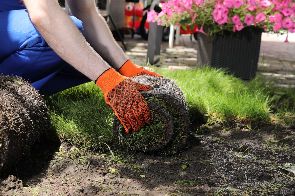 Grounds and vegetation work